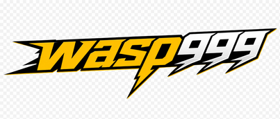 wasp999